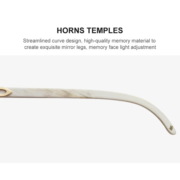 NWOT Hepidem Buffalo Horn Sunglasses main image 16